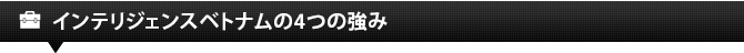 インテリジェンスベトナムの4つの強み