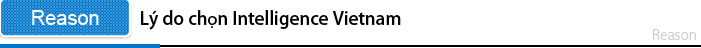 Lý do chọn Intelligence Vietnam